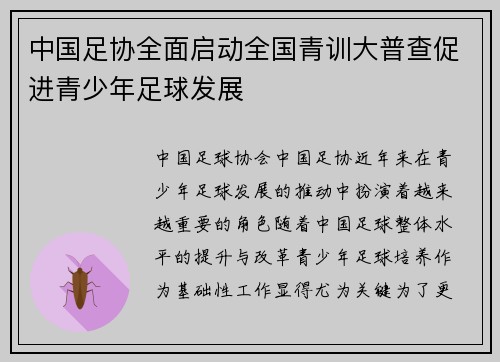 中国足协全面启动全国青训大普查促进青少年足球发展
